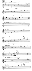 TIME REMEMBERED MODAL ANALYSIS