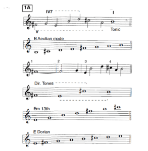 TIME REMEMBERED MODAL ANALYSIS